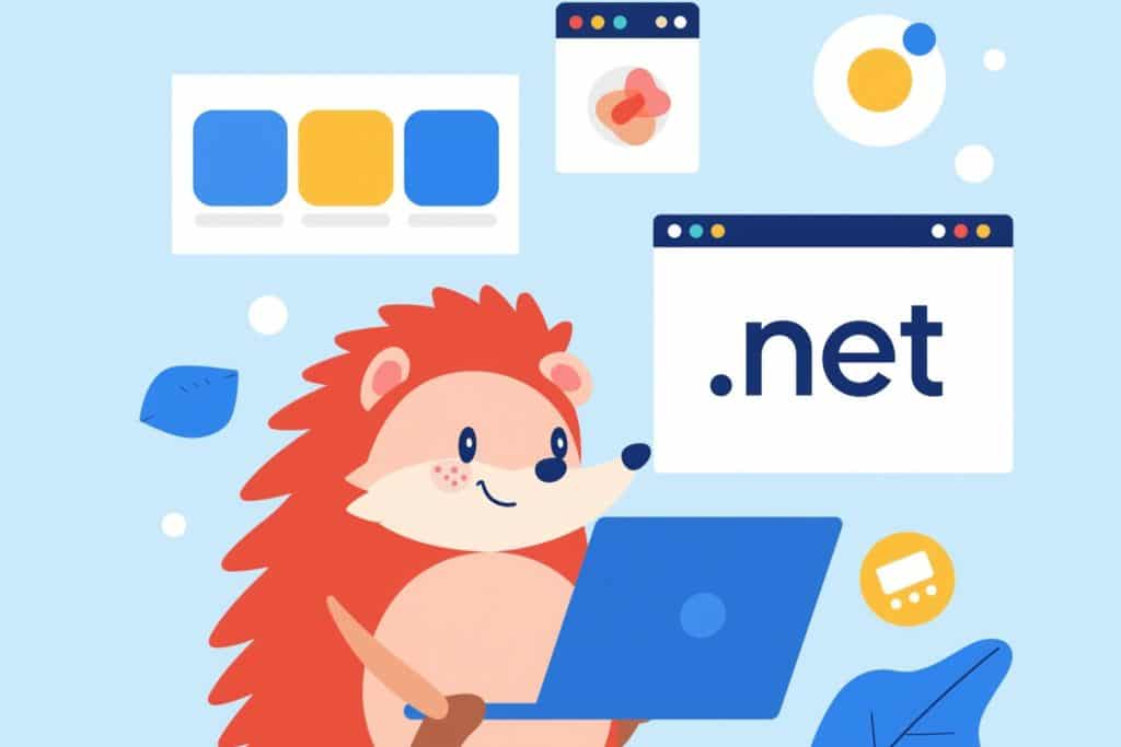 .net domain