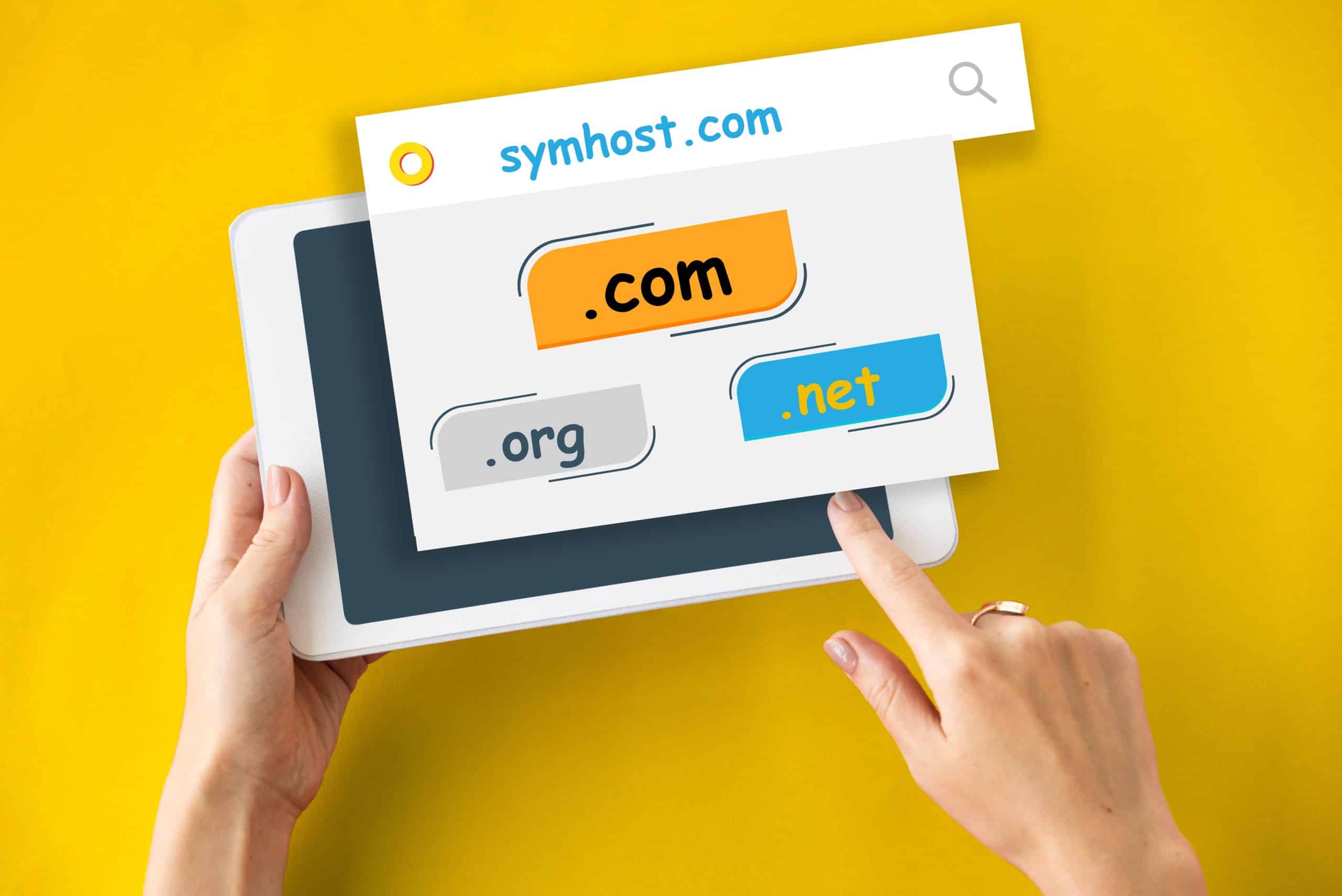 domain name system